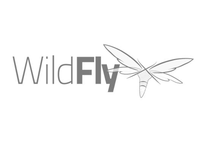 logo wildfly